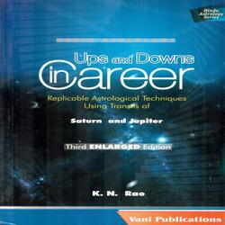 Ups and Downs in Career [English]